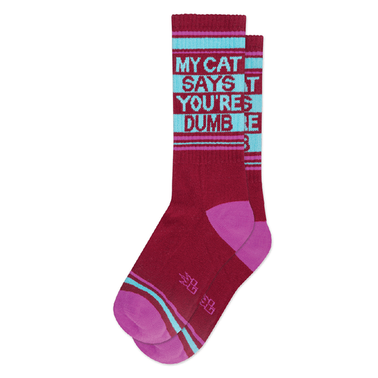 Chaussettes "My cat says you're dumb"