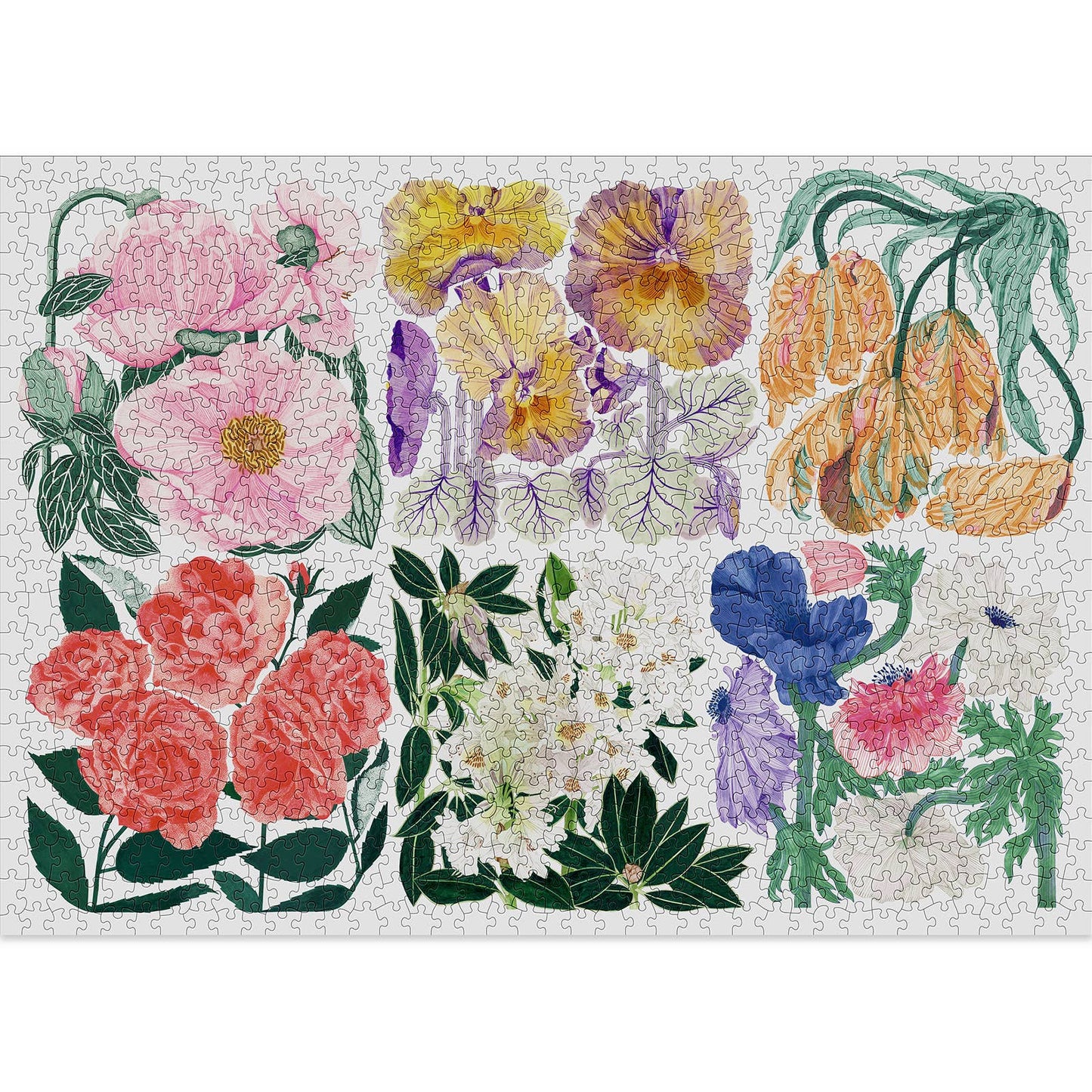 Puzzle 1000 Pièces 'Flora' – Design de Cecilia Pettersson | Cloudberries